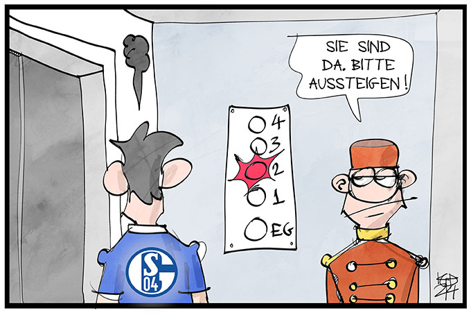 Schalke steigt ab